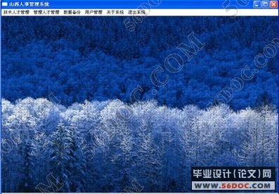 人才管理系统的设计与实现(VB+Access)