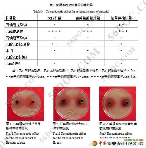 红足蒿提取物的抑菌作用研究