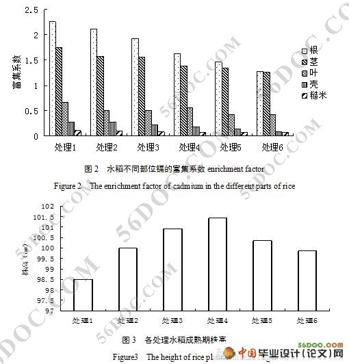 赤泥对水稻植株各部位镉含量及水稻生物量的影响