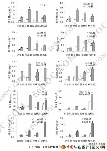 镉在不同水稻品种中的积累与分布研究
