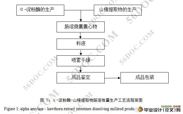 年产100吨a-淀粉酶-山楂提取物肠溶微囊的生产工艺设计