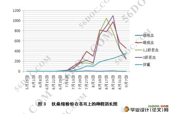 扶桑绵粉蚧田间种群消长动态研究