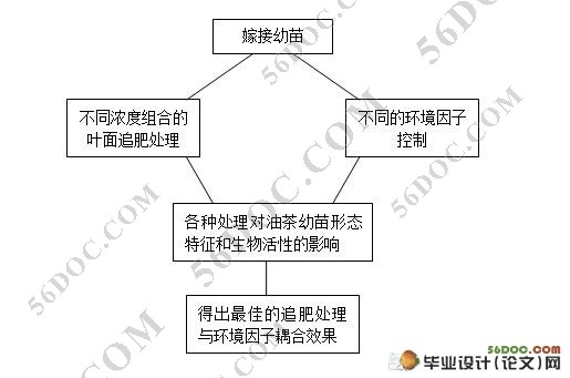 不同肥料组合浓度对油茶幼苗增高速度影响的研究