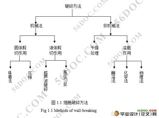 水稻稻曲病菌厚垣孢子细胞壁多糖测定
