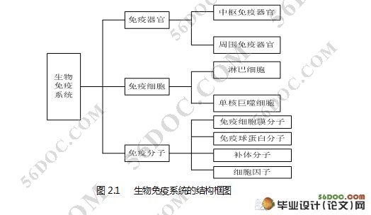 抗体多样性对免疫克隆算法性能影响的分析(VC++)精品)☆