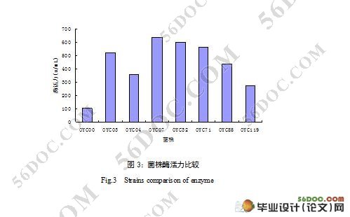 一株酸性淀粉酶产生菌的筛选与发酵条件的优化