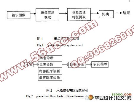 水稻病虫害图像识别系统的设计与实现(附答辩)
