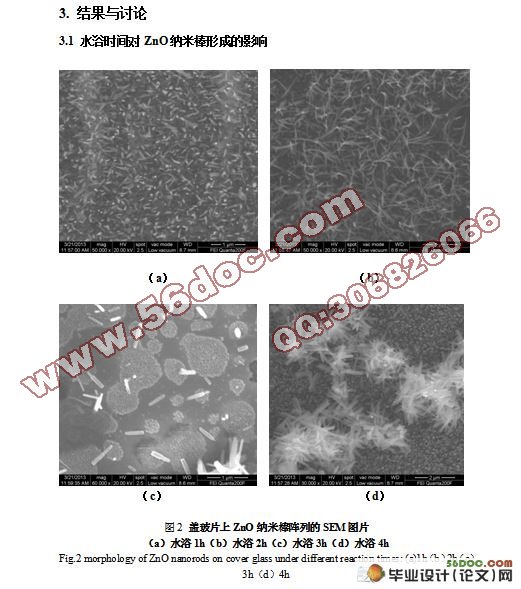 ZnSe一维纳米阵列光伏电池的研究