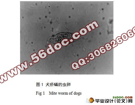 犬疥蟎\的防治