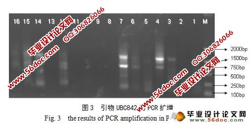 ISSR-PCRŻɸѡ