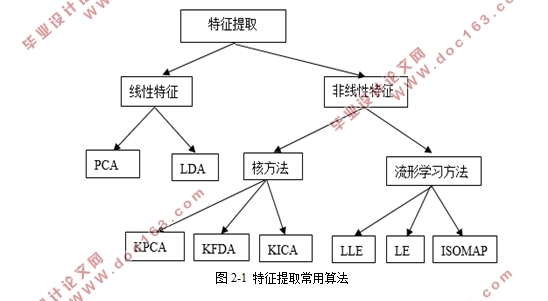 面向反馈神经网络进化特征提取算法研究