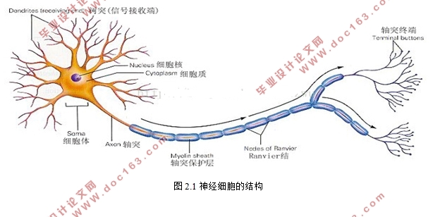 利用卷积神经网络实现数字手写体图像识别