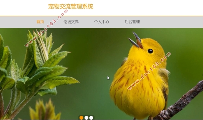 基于Springboot宠物交流管理系统的设计与实现(MySQL)