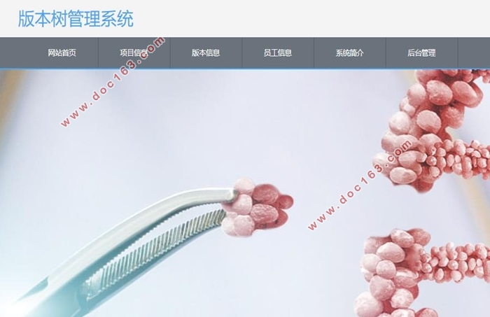 版本树管理系统的设计与实现(VUE,Springboot,MySQL)